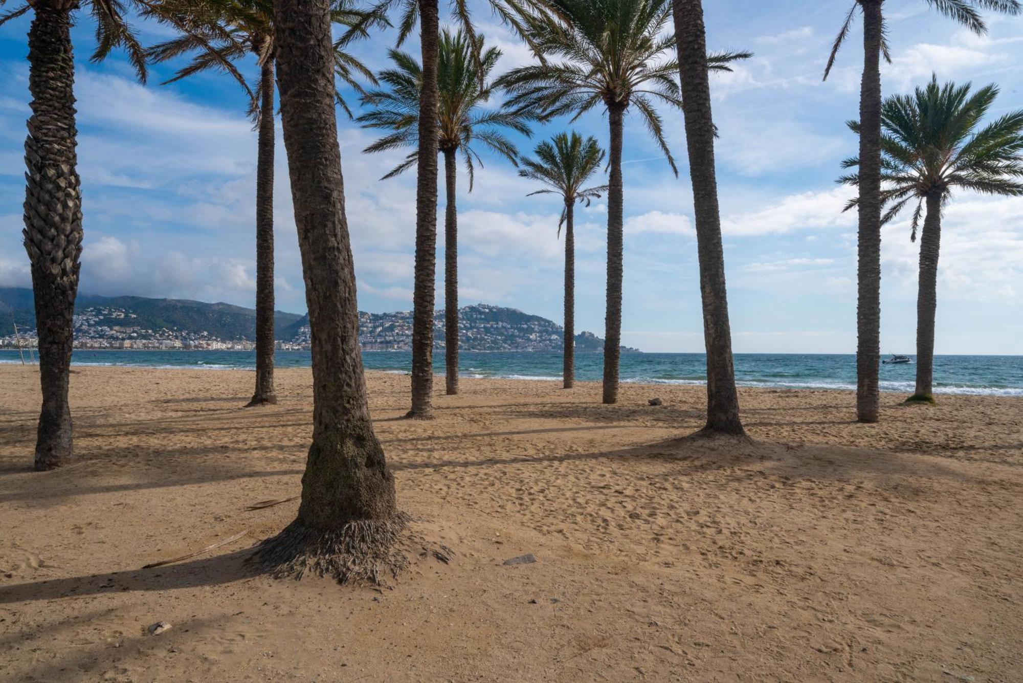 Welhomy Magnifique Santa Margarida Estany Appartement Roses